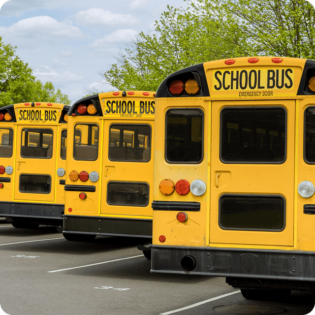 School Bus