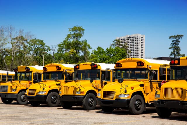 School Bus School Bus