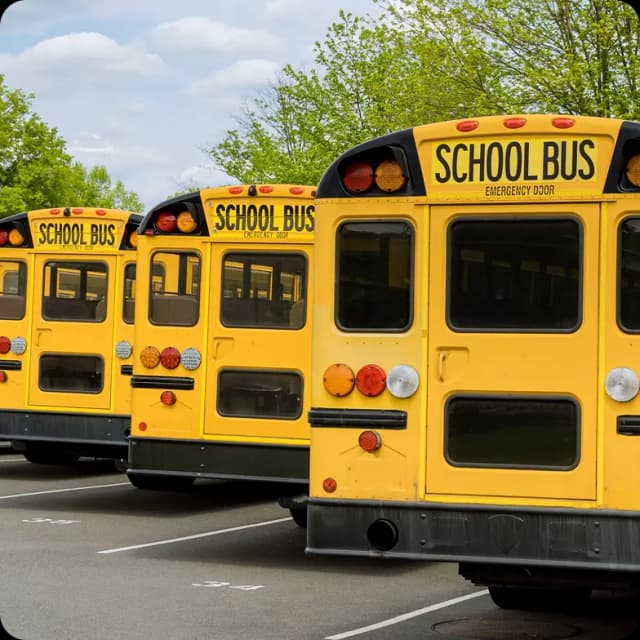 School Bus School Bus