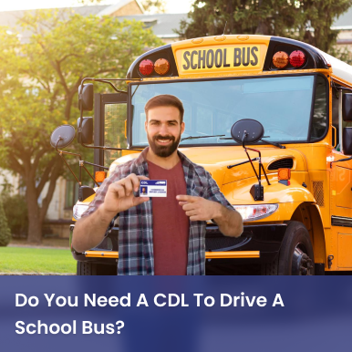 Cover image for Do You Need A CDL To Drive A School Bus - Unfold The Answer! Cover image for blog post: Do You Need A CDL To Drive A School Bus - Unfold The Answer! - Lena Nguyen