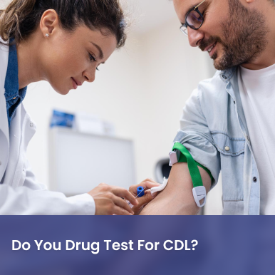 Cover image for Do You Drug Test For CDL? The Full Answer for Your Driving Future Cover image for blog post: Do You Drug Test For CDL? The Full Answer for Your Driving Future - Lena Nguyen