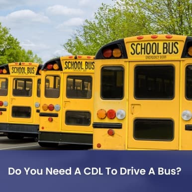 Cover image for Do you need a CDL to drive a bus? All future bus drivers should know Cover image for blog post: Do you need a CDL to drive a bus? All future bus drivers should know - Alina Duong