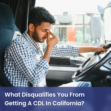 Cover image for What Disqualifies You From Getting A CDL In California? Cover image for blog post: What Disqualifies You From Getting A CDL In California? - Lili Nguyen
