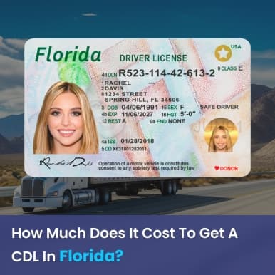 Cover image for How Much Does It Cost To Get A CDL License In Florida? Cover image for blog post: How Much Does It Cost To Get A CDL License In Florida? - Alina Duong
