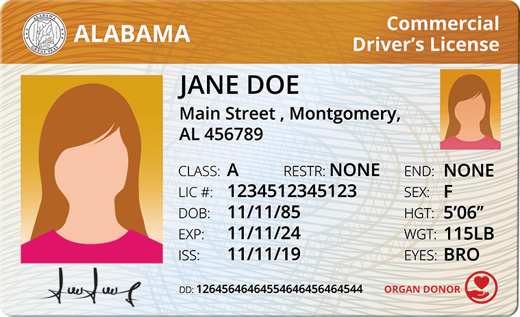 Cover image for All What You Need to Know About How to Get CDL In Alabama Cover image for blog post: All What You Need to Know About How to Get CDL In Alabama - Lili Nguyen