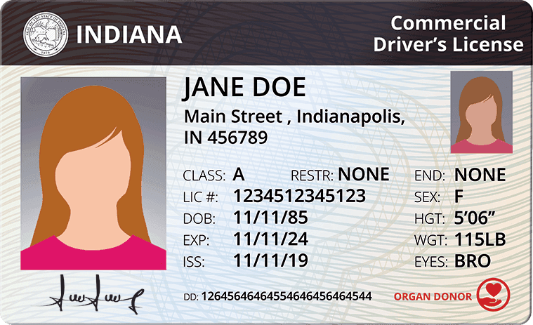 Cover image for Understanding Indiana CDL Costs: A Detailed Breakdown Cover image for blog post: Understanding Indiana CDL Costs: A Detailed Breakdown - Alina Duong