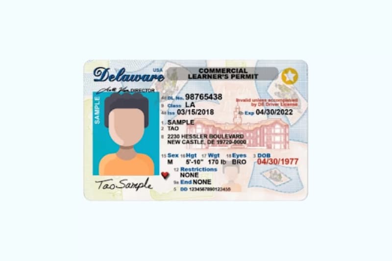 Cover image for CDL Learner's Permit Explained: Ultimate Guide For Beginners Cover image for blog post: CDL Learner's Permit Explained: Ultimate Guide For Beginners - Alina Duong