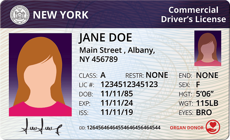 Cover image for All You Need to Know About How To Get Your CDL in New York Cover image for blog post: All You Need to Know About How To Get Your CDL in New York - Lili Nguyen