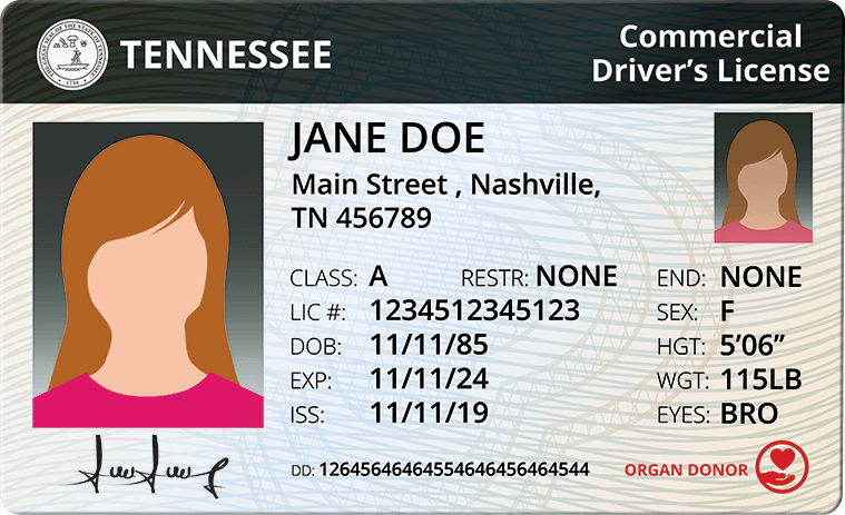 Cover image for How to Get a CDL in Tennessee: A Detailed Guidelines for Drivers Cover image for blog post: How to Get a CDL in Tennessee: A Detailed Guidelines for Drivers - Lili Nguyen