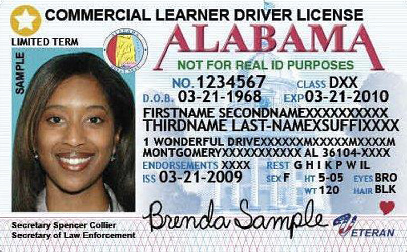 Cover image for Understanding How Much Does It Cost to Get a CDL in Alabama Cover image for blog post: Understanding How Much Does It Cost to Get a CDL in Alabama - Lili Nguyen