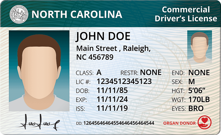 Cover image for How long does it take to get a CDL in North Carolina: Your Perfect Plan Cover image for blog post: How long does it take to get a CDL in North Carolina: Your Perfect Plan - Lili Nguyen