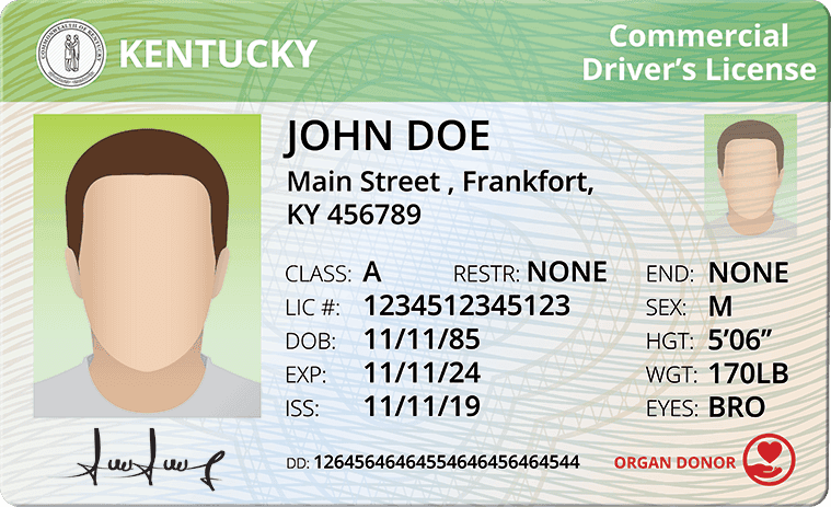 Cover image for CDL Costs In Kentucky: Everything You Should Budget Cover image for blog post: CDL Costs In Kentucky: Everything You Should Budget - Alina Duong