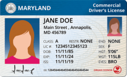 Cover image for Maryland CDL License Cost: Latest Guide to Well-equipped Financially Cover image for blog post: Maryland CDL License Cost: Latest Guide to Well-equipped Financially - Alina Duong