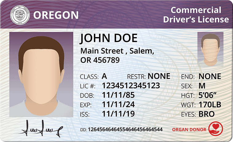 Cover image for Costs To Get A CDL In Oregon: What To Expect To Budget Cover image for blog post: Costs To Get A CDL In Oregon: What To Expect To Budget - Alina Duong