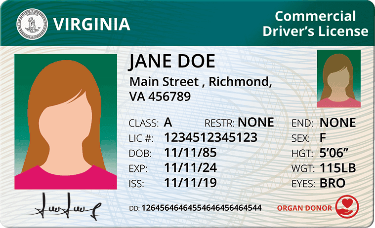 Cover image for Virginia CDL Costs Breakdown: Latest Update Cover image for blog post: Virginia CDL Costs Breakdown: Latest Update - Alina Duong