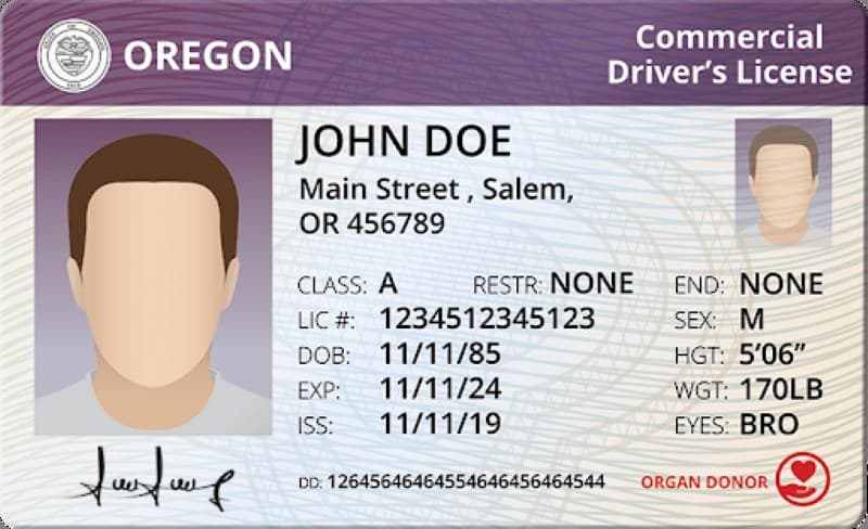 Cover image for Time To Get A CDL In Oregon: How Long You Should Expect Cover image for blog post: Time To Get A CDL In Oregon: How Long You Should Expect - Alina Duong