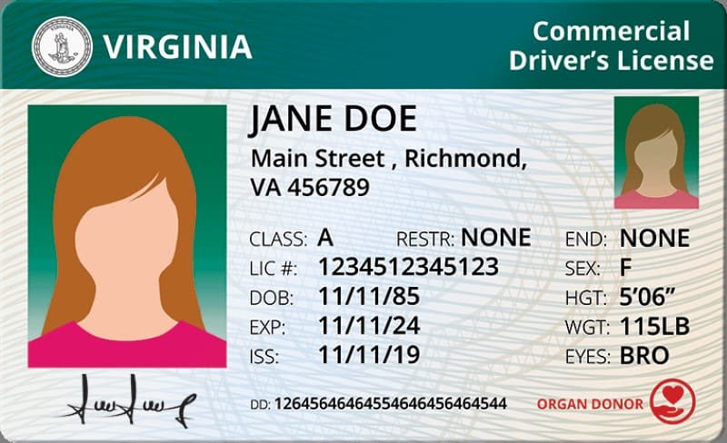 Cover image for Getting Virginia CDL Process: How Long Does It Take? Cover image for blog post: Getting Virginia CDL Process: How Long Does It Take? - Alina Duong