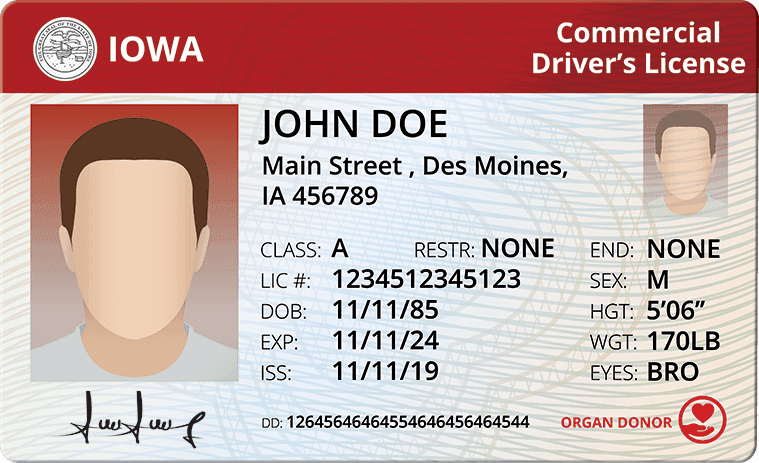 Cover image for How To Get A CDL In Iowa: Requirements & Process Explained Cover image for blog post: How To Get A CDL In Iowa: Requirements & Process Explained - Alina Duong