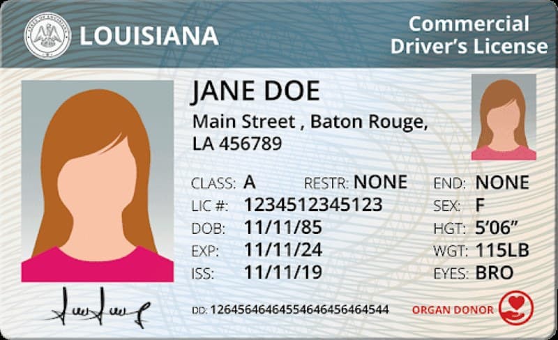 Cover image for A step-by-step guide on Louisiana CDL requirements Cover image for blog post: A step-by-step guide on Louisiana CDL requirements - Alina Duong