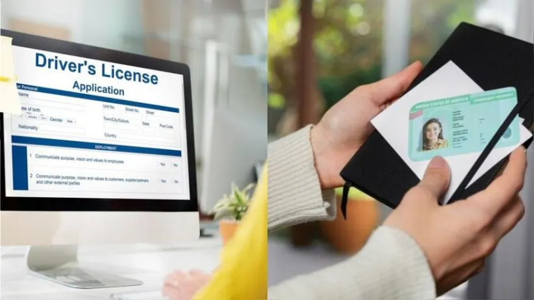 REQUIRED DOCUMENTS TO APPLY FOR A CDL visual data 3